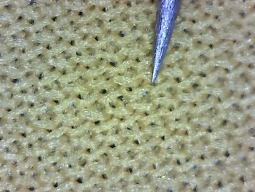 Microscopic View of the PUL Polyester Side with pin for scale.