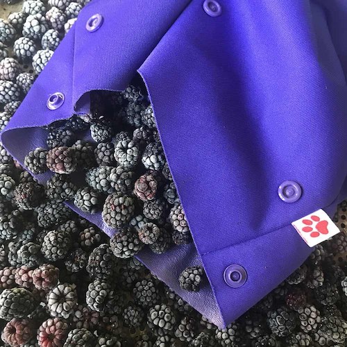 Flaxie Freeze - Reusable Freezer Bag - Grape - Medium - Flax & Stitch
